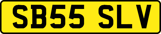 SB55SLV