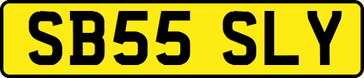 SB55SLY