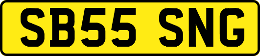 SB55SNG