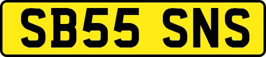 SB55SNS