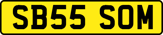 SB55SOM