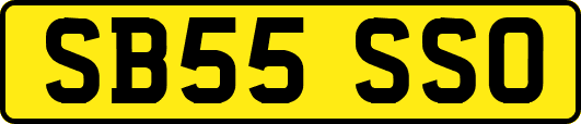 SB55SSO