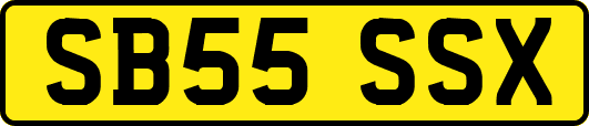 SB55SSX