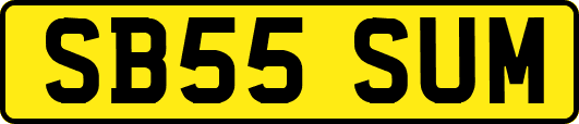 SB55SUM