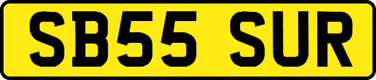 SB55SUR
