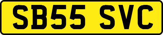 SB55SVC