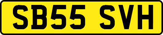 SB55SVH