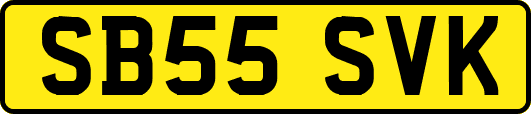 SB55SVK