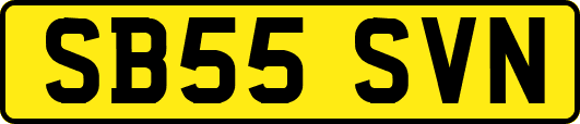SB55SVN