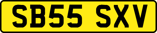 SB55SXV