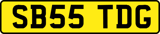 SB55TDG