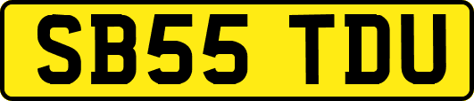 SB55TDU