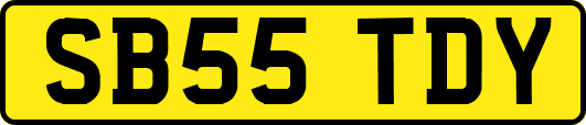 SB55TDY
