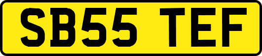 SB55TEF