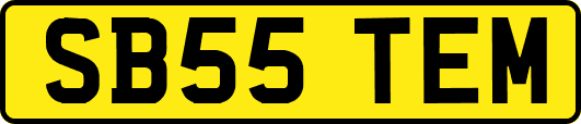 SB55TEM