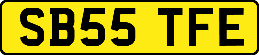SB55TFE