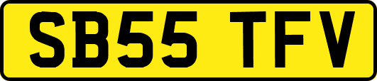 SB55TFV