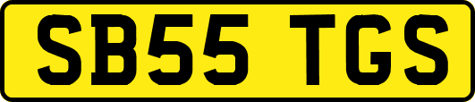 SB55TGS