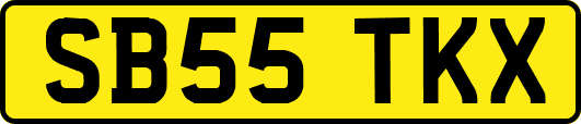 SB55TKX