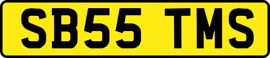 SB55TMS