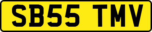 SB55TMV