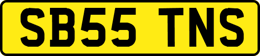 SB55TNS