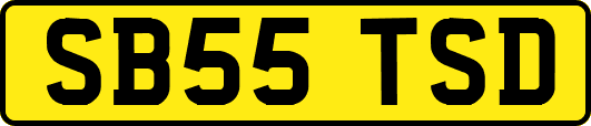 SB55TSD