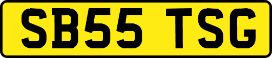 SB55TSG