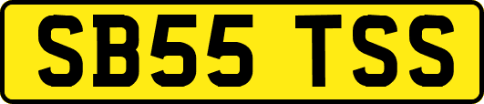 SB55TSS