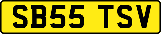 SB55TSV