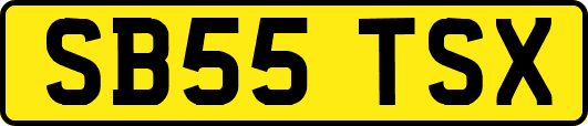 SB55TSX