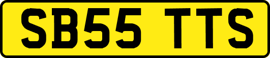 SB55TTS