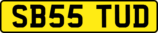 SB55TUD
