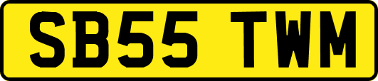 SB55TWM
