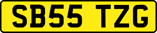SB55TZG