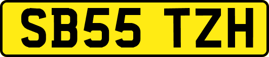 SB55TZH