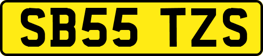 SB55TZS