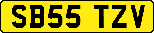 SB55TZV