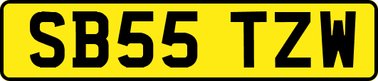 SB55TZW