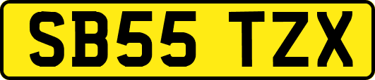 SB55TZX