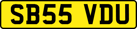 SB55VDU