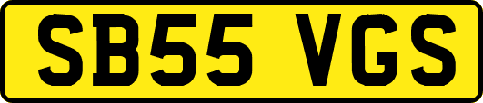 SB55VGS