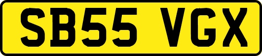 SB55VGX