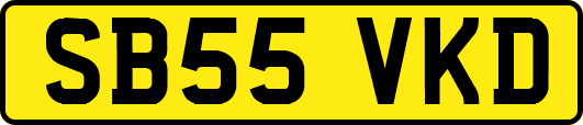 SB55VKD
