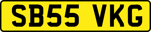 SB55VKG