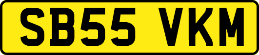 SB55VKM