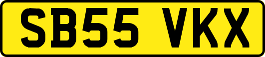 SB55VKX