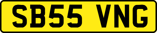 SB55VNG