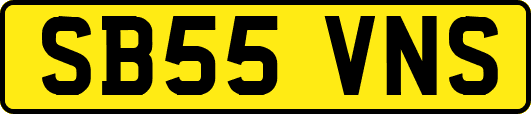 SB55VNS