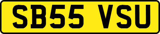 SB55VSU